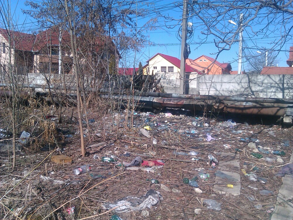 Asa arata o strada din centrul Aradului. Drumul elevilor spre scoala e pavat cu gunoaie - Imaginea 4