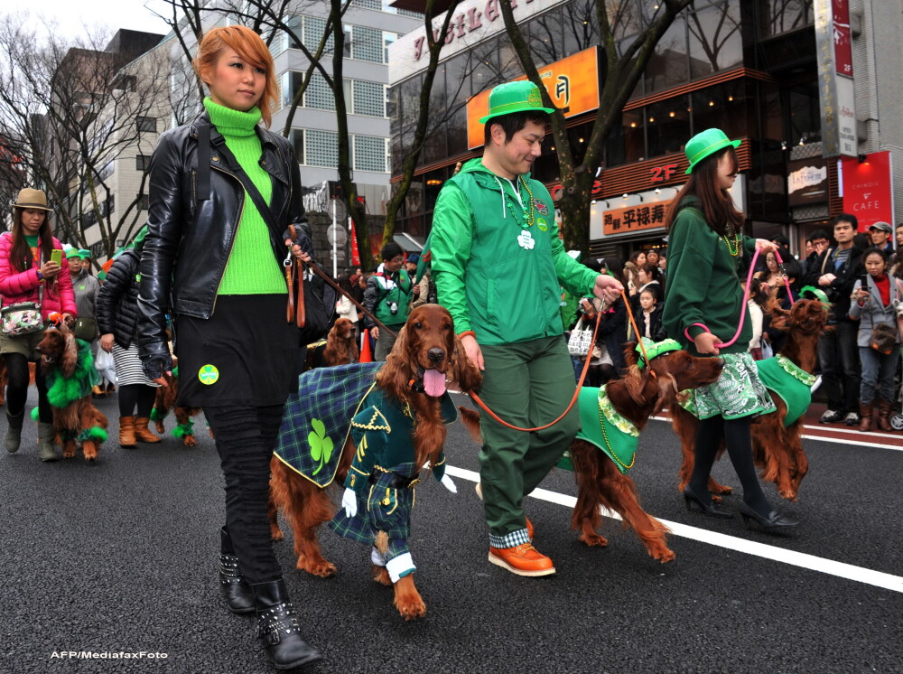 Ziua in care toata lumea a fost verde. Cele mai tari fotografii de Saint Patrick - Imaginea 1