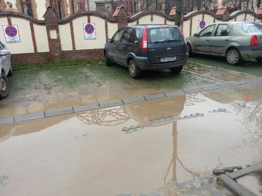 Parcarile ecologice din Timisoara seamana mai degraba cu niste mlastini. FOTO - Imaginea 1