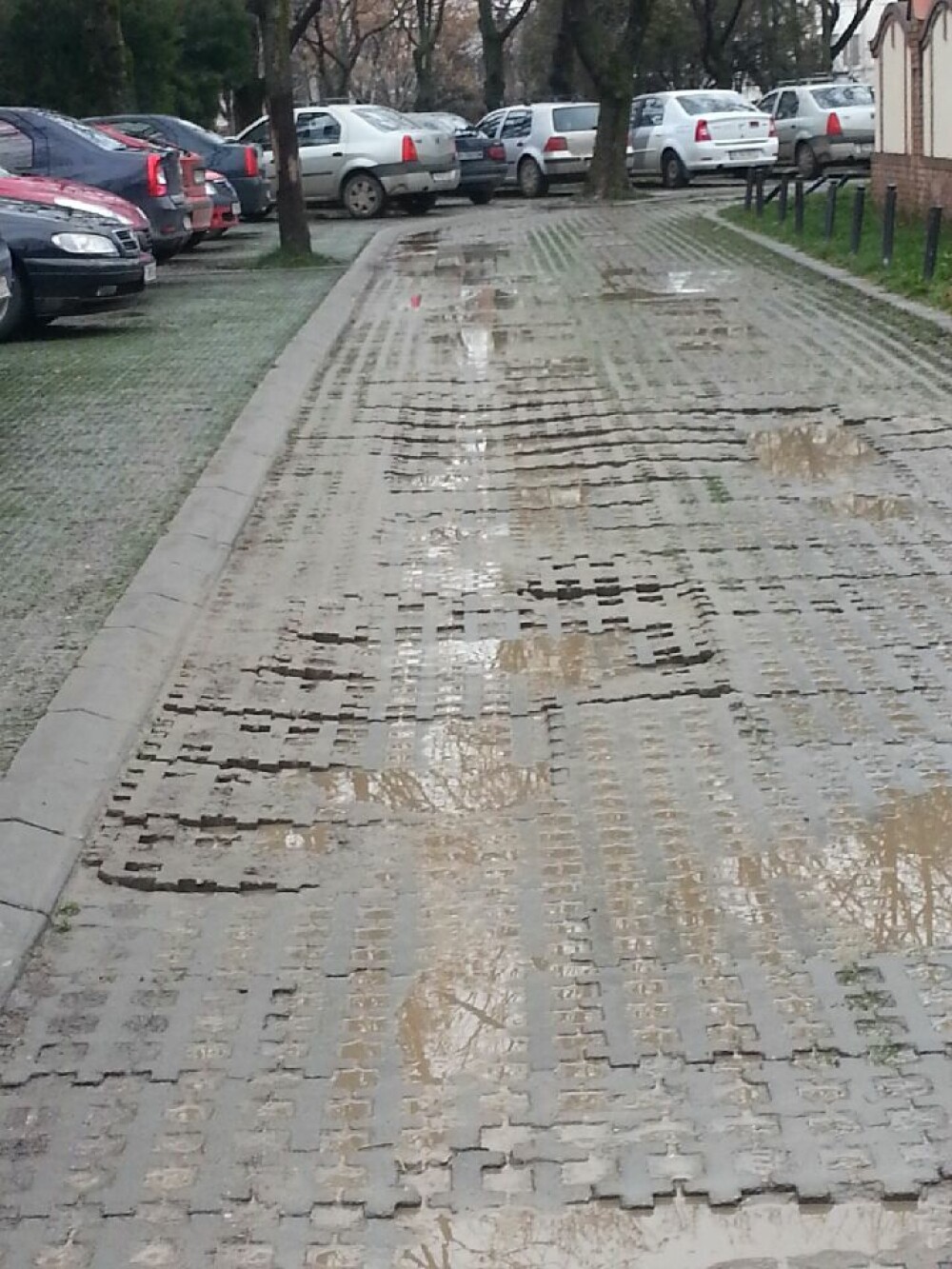 Parcarile ecologice din Timisoara seamana mai degraba cu niste mlastini. FOTO - Imaginea 4