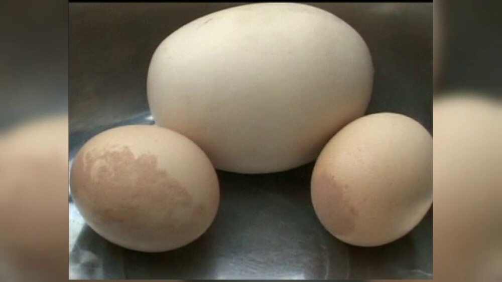Descoperirea bizara facuta de o femeie din China intr-un ou urias, de 200 de grame - Imaginea 5