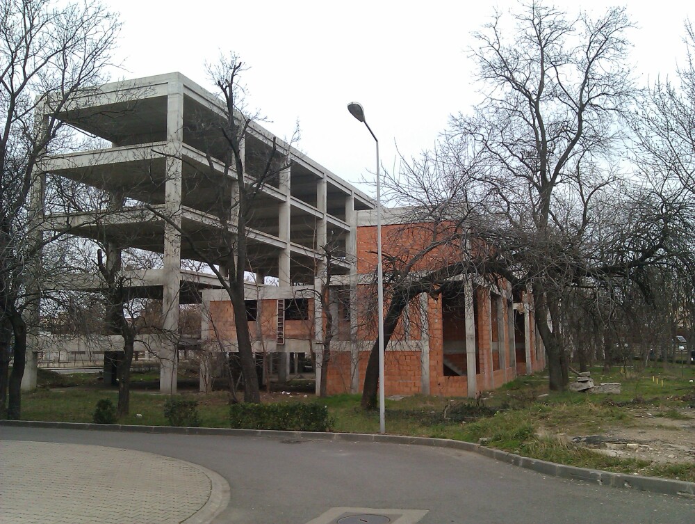 Pentru ce a fost defrisat un parc din Arad: o cladire de birouri pentru care nu s-au mai gasit bani - Imaginea 1