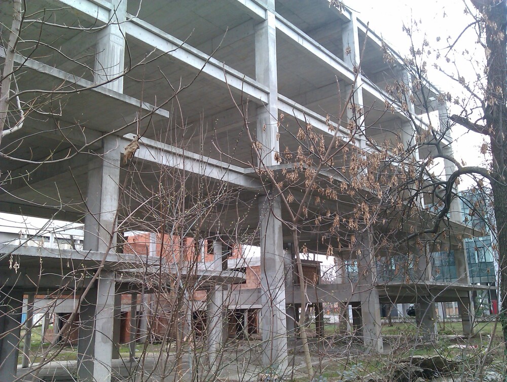 Pentru ce a fost defrisat un parc din Arad: o cladire de birouri pentru care nu s-au mai gasit bani - Imaginea 2