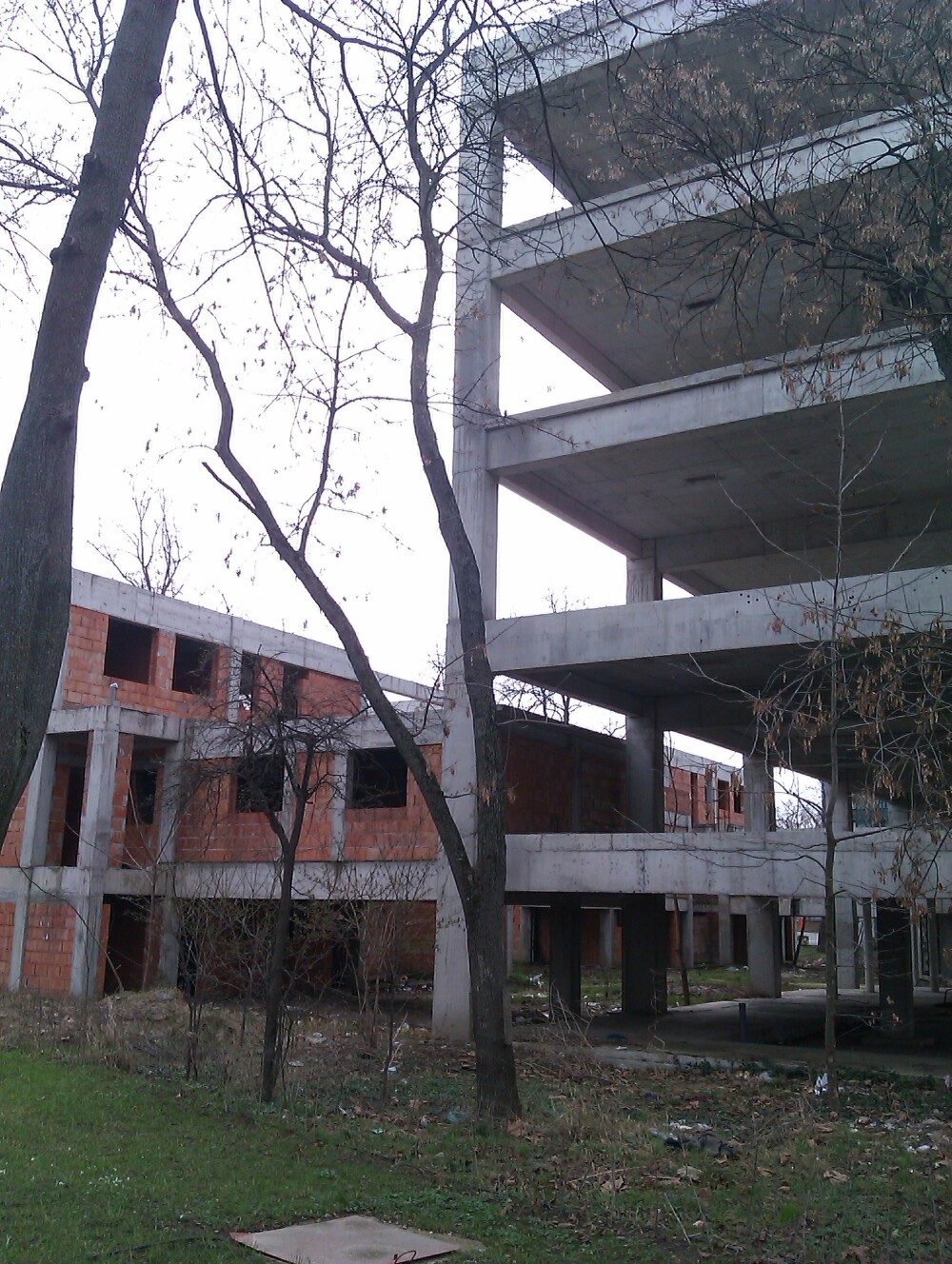 Pentru ce a fost defrisat un parc din Arad: o cladire de birouri pentru care nu s-au mai gasit bani - Imaginea 3