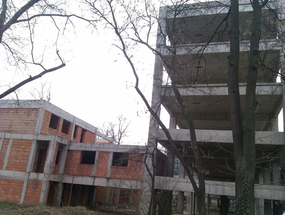 Pentru ce a fost defrisat un parc din Arad: o cladire de birouri pentru care nu s-au mai gasit bani - Imaginea 4