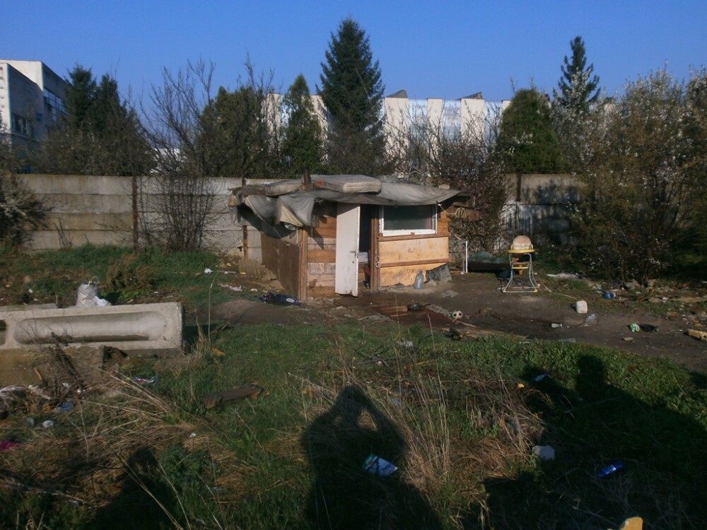 Coliba improvizata pe o strada din Timisoara, demolata de politistii locali. FOTO - Imaginea 1