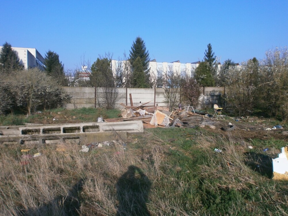 Coliba improvizata pe o strada din Timisoara, demolata de politistii locali. FOTO - Imaginea 2