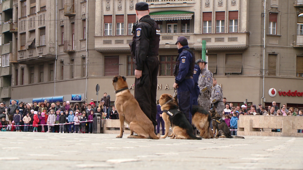 Ziua Politiei Romane, sarbatorita la Timisoara. Zeci de curiosi au asistat la spectacolul din Piata Victoriei. FOTO - Imaginea 12