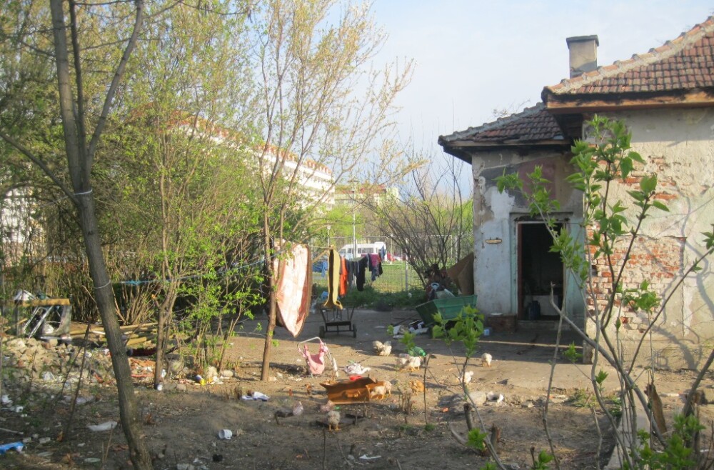 Focar de infectie in cladirile fostei unitati militare din Timisoara. Politistii i-au amendat pe cei care se adaposteau aici - Imaginea 2