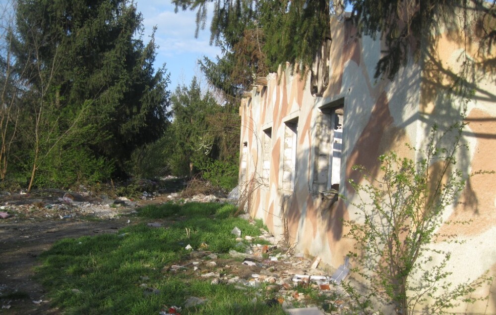 Focar de infectie in cladirile fostei unitati militare din Timisoara. Politistii i-au amendat pe cei care se adaposteau aici - Imaginea 3