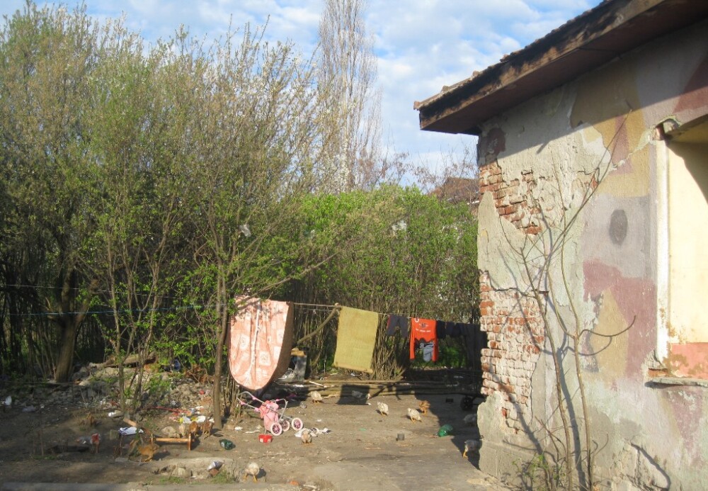 Focar de infectie in cladirile fostei unitati militare din Timisoara. Politistii i-au amendat pe cei care se adaposteau aici - Imaginea 5
