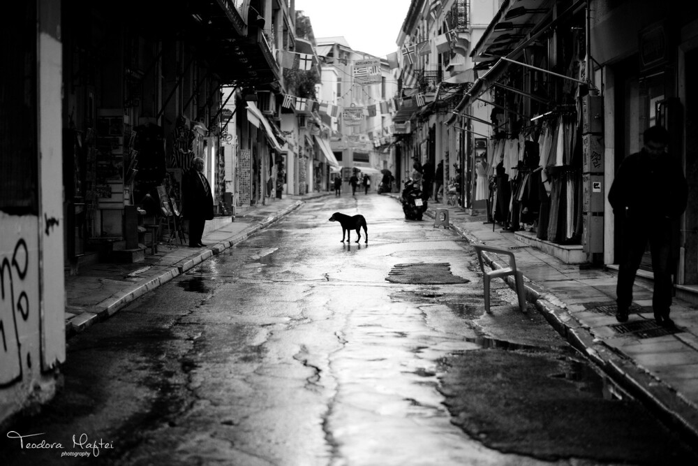 Cum s-a simtit Atena de ziua ei. Grecii, in cautarea unui euro pierdut. FOTO REPORTAJ - Imaginea 5