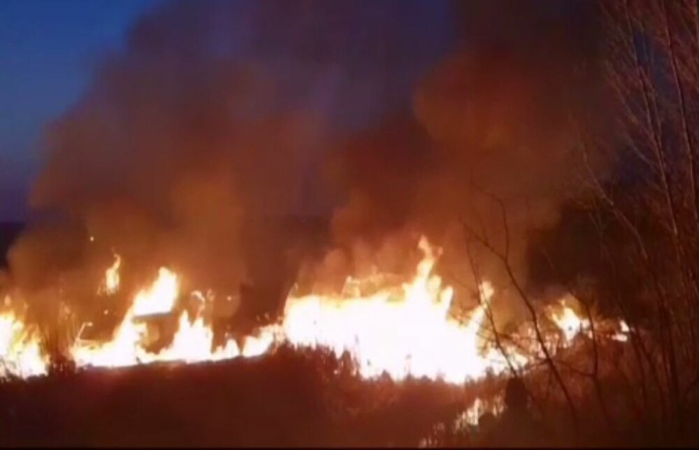 Incendiu de vegetație în Olt. Pompierii s-au luptat 3 ore cu flăcările - Imaginea 1