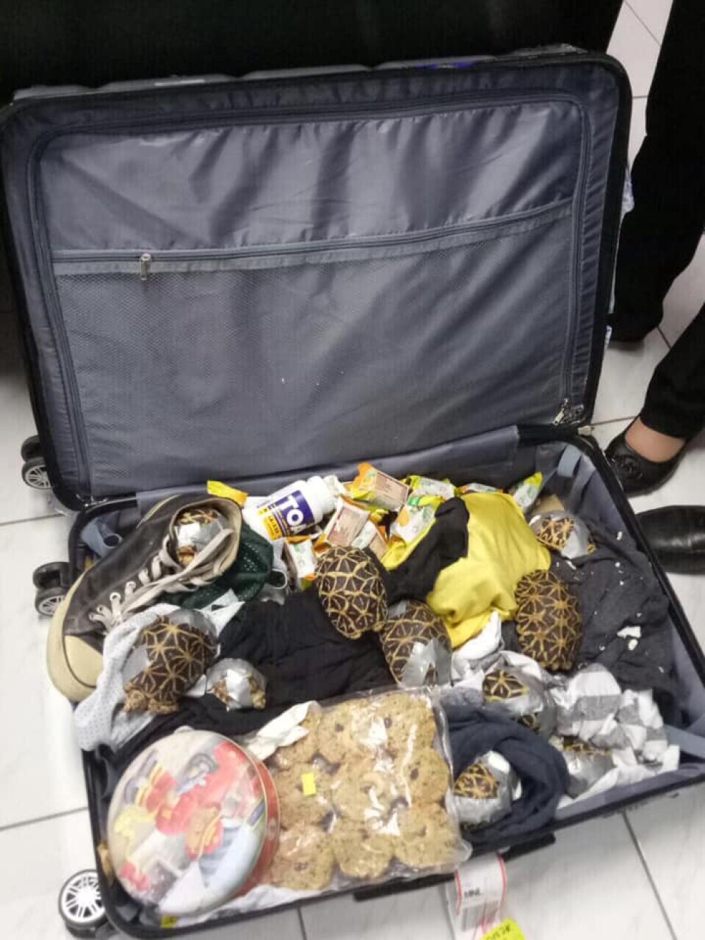 Descoperire uimitoare în două valize abandonate pe aeroportul din Manila. GALERIE FOTO - Imaginea 19