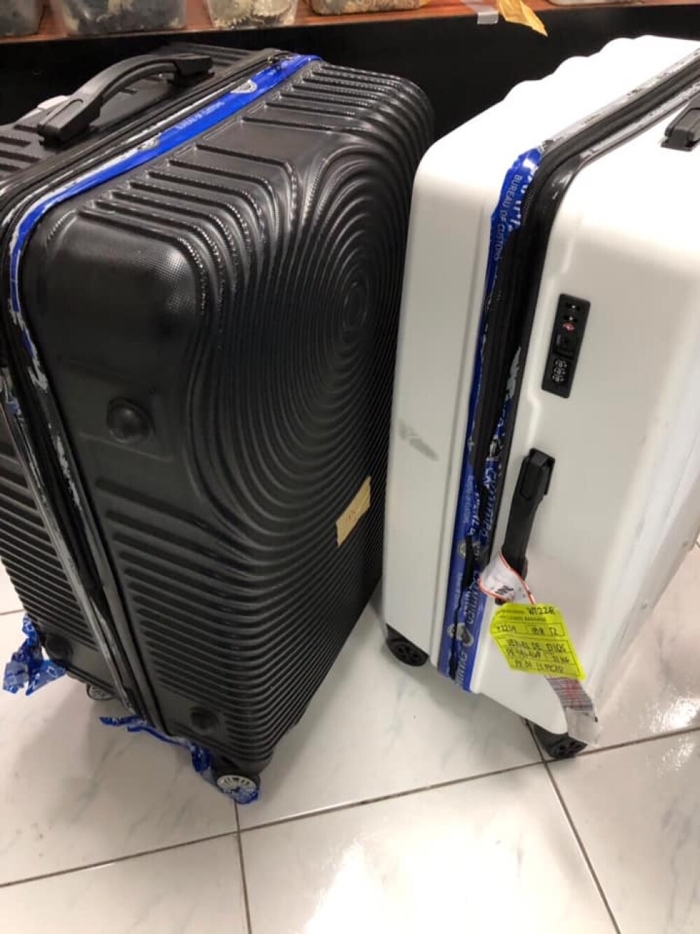 Descoperire uimitoare în două valize abandonate pe aeroportul din Manila. GALERIE FOTO - Imaginea 25