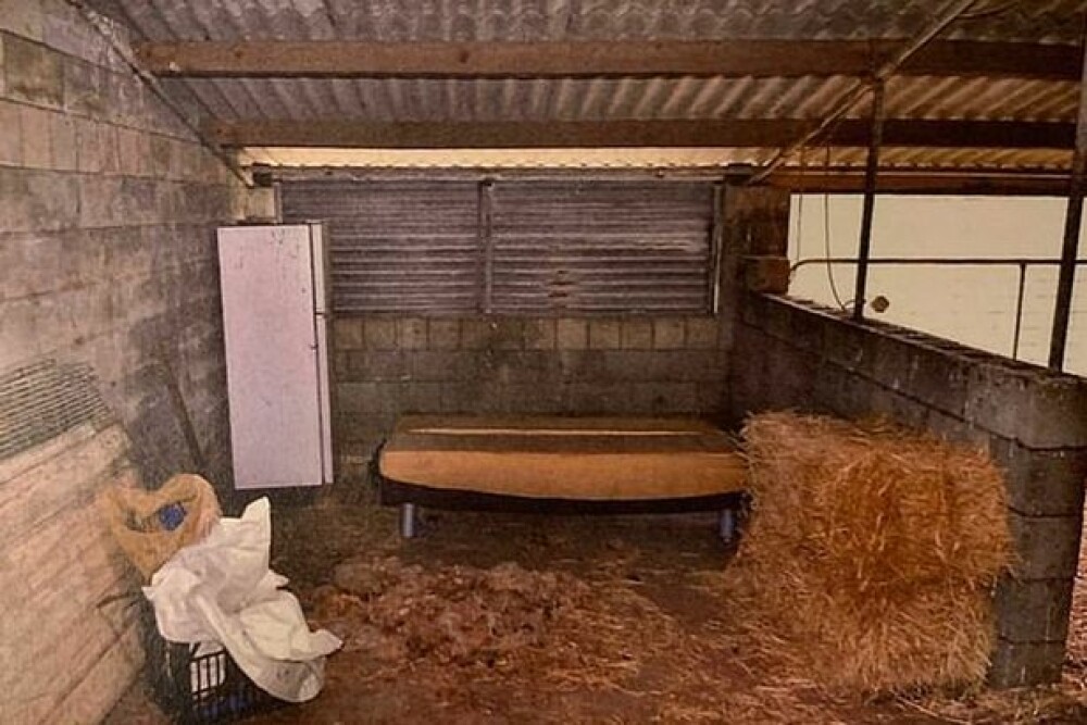 Cum arată ferma de porci în care o femeie a fost încătușată și violată de un fermier - Imaginea 5
