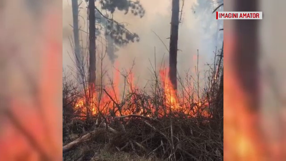 Intervenție dificilă într-o pădure din Dâmbovița. Ce riscă cei care au pus focul - Imaginea 1