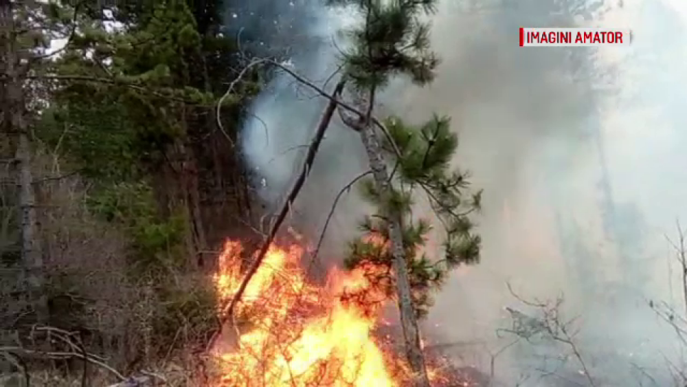 Intervenție dificilă într-o pădure din Dâmbovița. Ce riscă cei care au pus focul - Imaginea 2