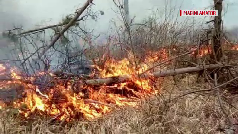 Intervenție dificilă într-o pădure din Dâmbovița. Ce riscă cei care au pus focul - Imaginea 3