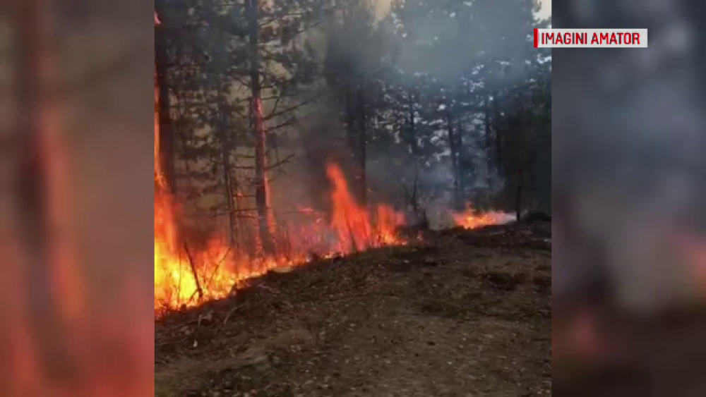 Intervenție dificilă într-o pădure din Dâmbovița. Ce riscă cei care au pus focul - Imaginea 4