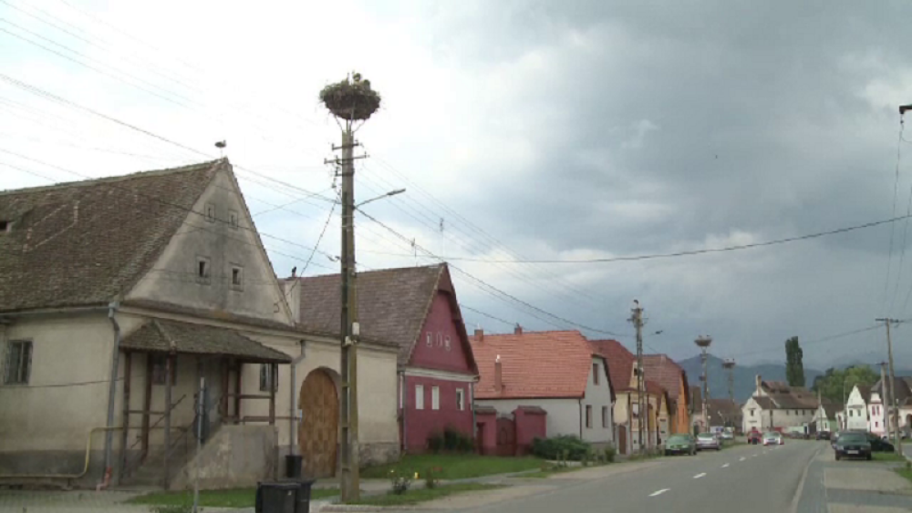 Satul din România, renumit pentru zecile de berze care-și fac cuib aici anual - Imaginea 2
