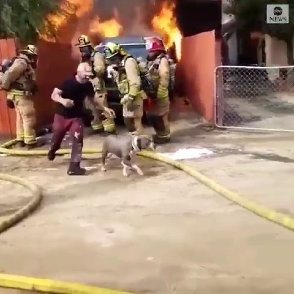Un bărbat s-a aruncat într-o casă în flăcări pentru câinele său. Ce a urmat - Imaginea 5