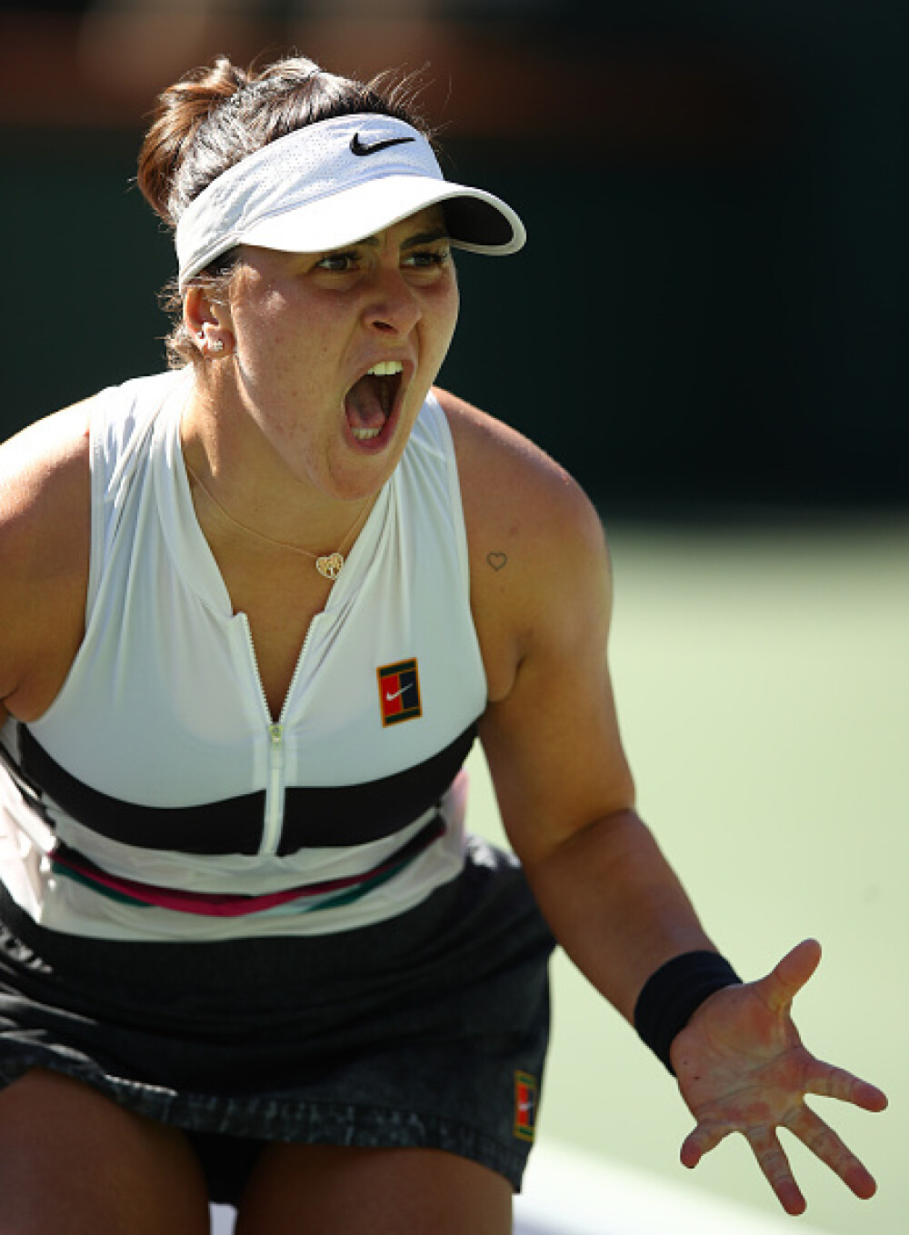 Reacția unei legende din tenis după victoria Biancăi Andreescu: ”S-a născut o stea” - Imaginea 4