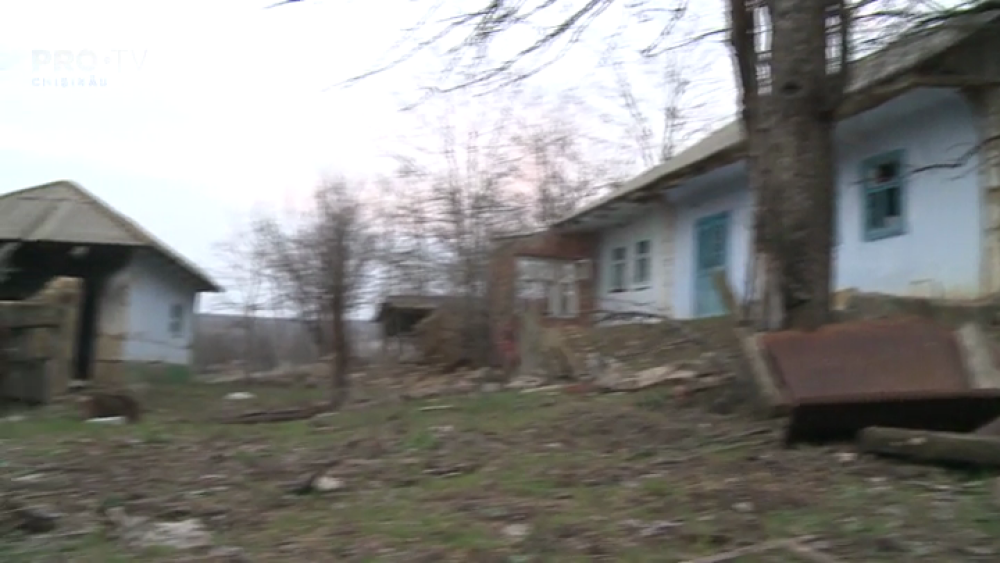 Satul din Moldova unde a mai rămas doar o pisică. Ultimii localnici s-au ucis între ei - Imaginea 11