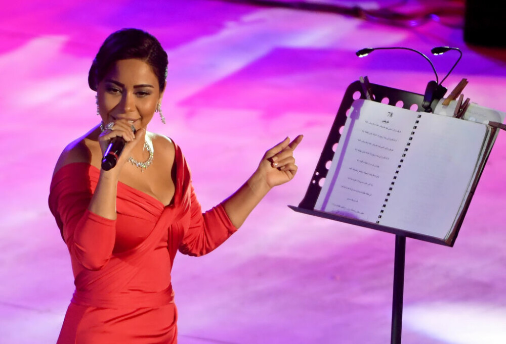 Sentință dură pentru o cântăreață, după ce și-a criticat țara în timpul unui concert - Imaginea 2
