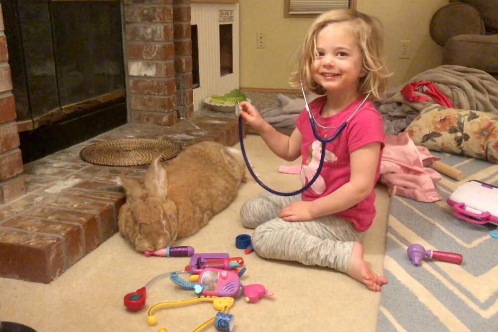 Un iepure gigant este cel mai bun prieten al unei fetițe de 3 ani. GALERIE FOTO - Imaginea 8