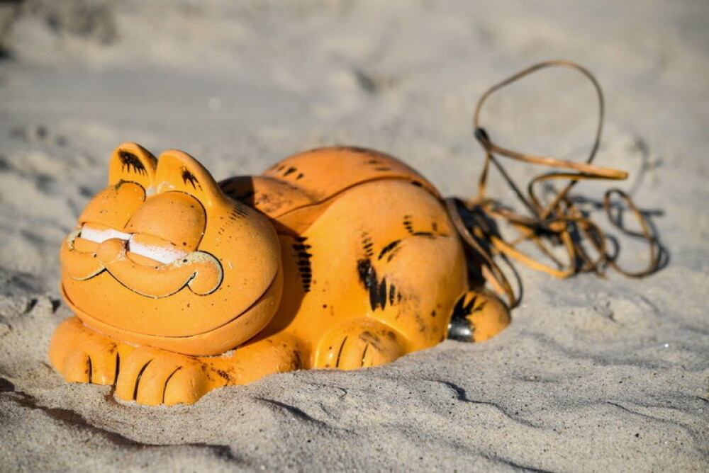 Mister rezolvat după 30 ani. De unde apăreau constant telefoane Garfield pe plaje din Franța - Imaginea 4