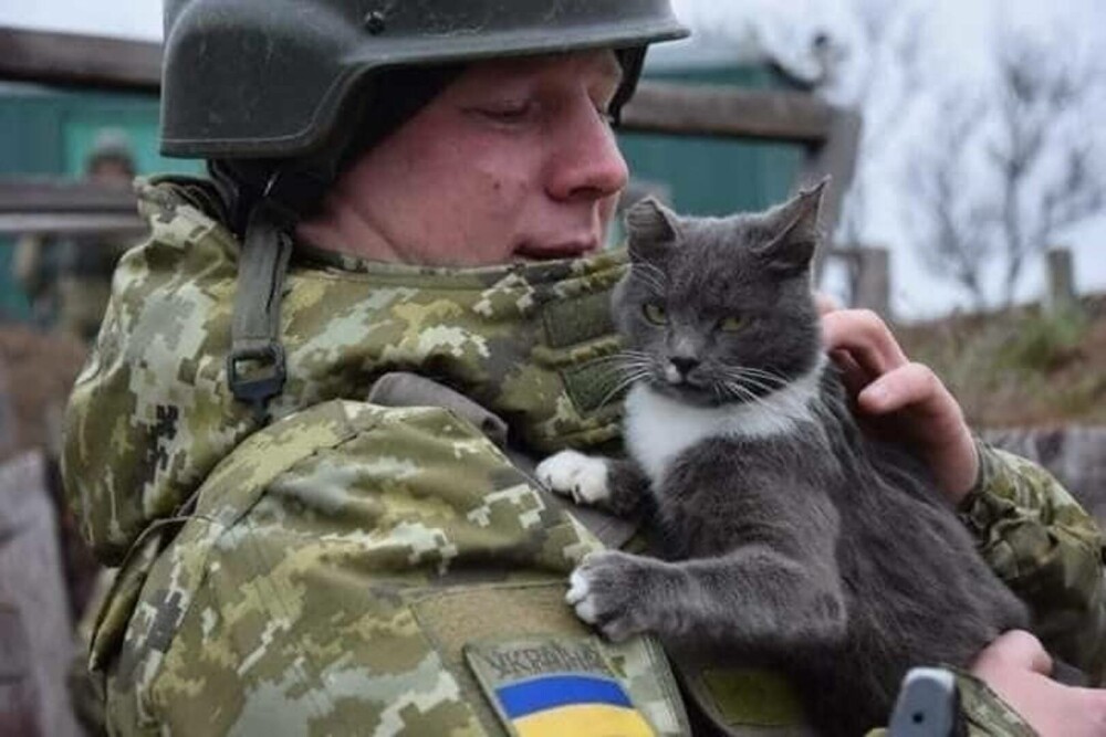 GALERIE FOTO. Pisicile se ”luptă” cu rușii alături de soldații din Ucraina - Imaginea 8