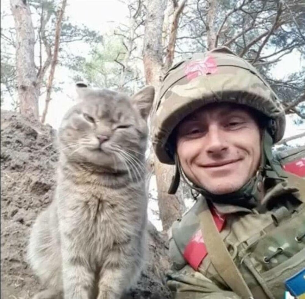 GALERIE FOTO. Pisicile se ”luptă” cu rușii alături de soldații din Ucraina - Imaginea 7
