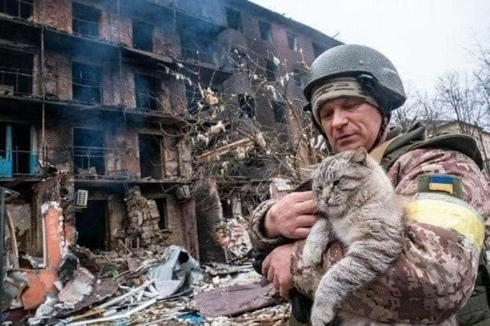 GALERIE FOTO. Pisicile se ”luptă” cu rușii alături de soldații din Ucraina - Imaginea 4