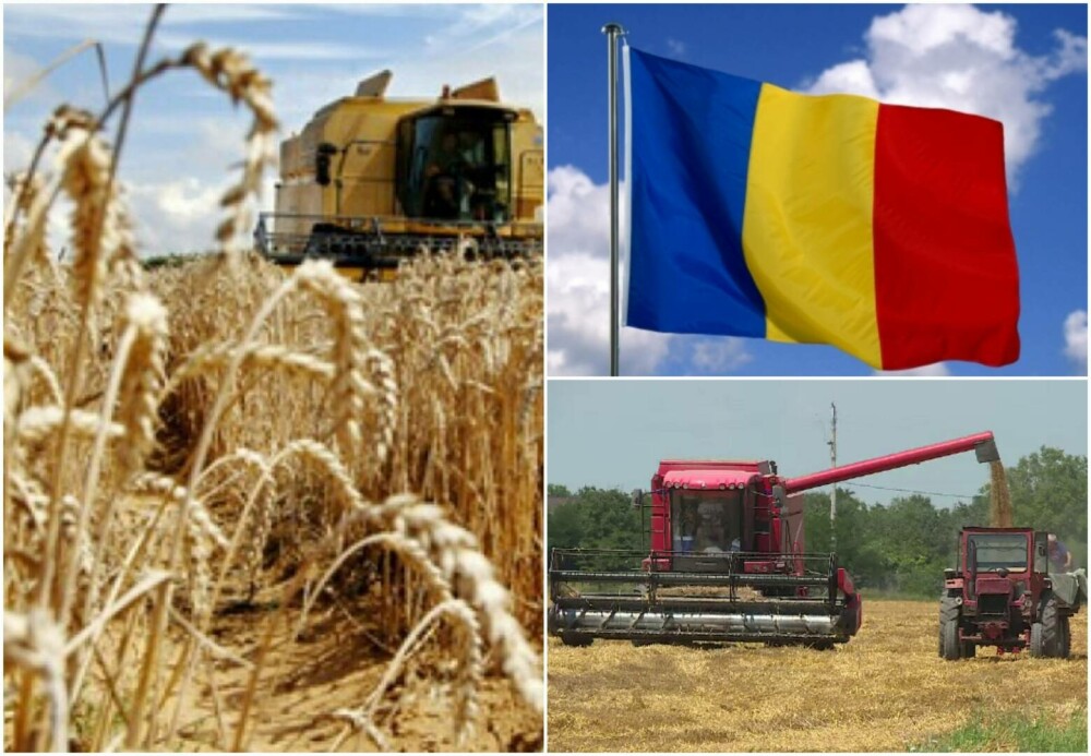 România ar putea influența prețurile mondiale. Războiul Rusia-Ucraina este și economic - Imaginea 4