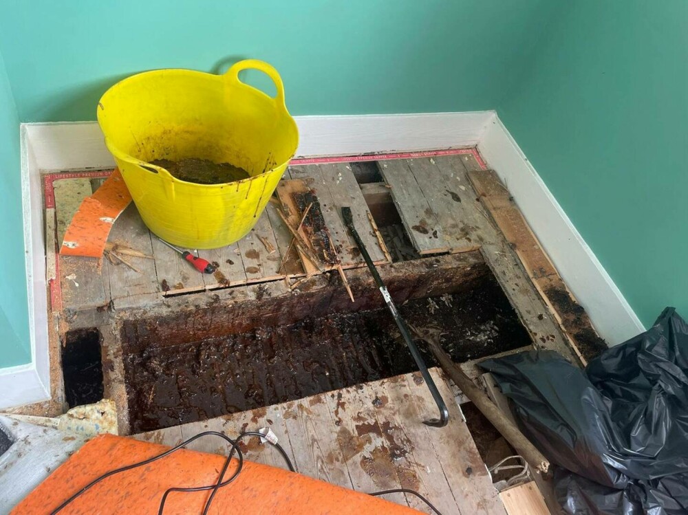 Ce au descoperit doi soți, după ce din pereți a început să curgă un lichid galben și lipicios. GALERIE FOTO - Imaginea 8