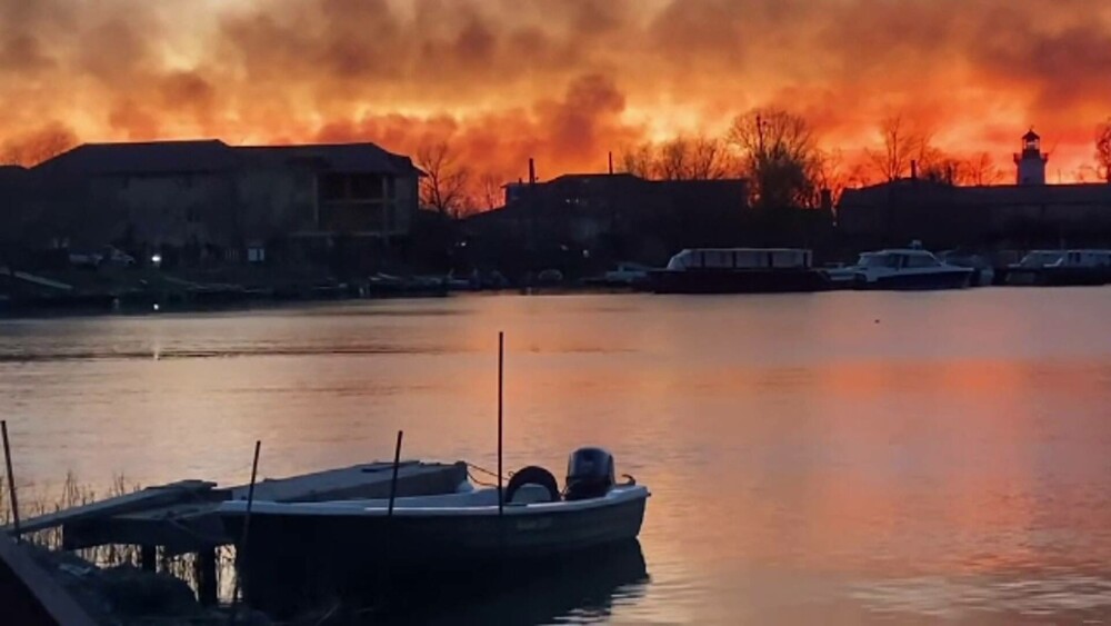 Imagini apocaliptice în Delta Dunării din cauza incendiilor provocate de oameni - Imaginea 2