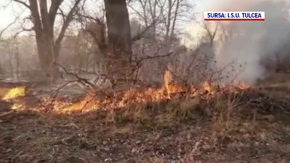 Imagini apocaliptice în Delta Dunării din cauza incendiilor provocate de oameni - Imaginea 7