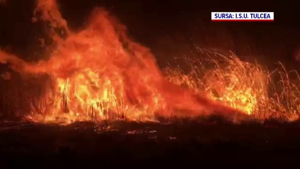 Imagini apocaliptice în Delta Dunării din cauza incendiilor provocate de oameni - Imaginea 8