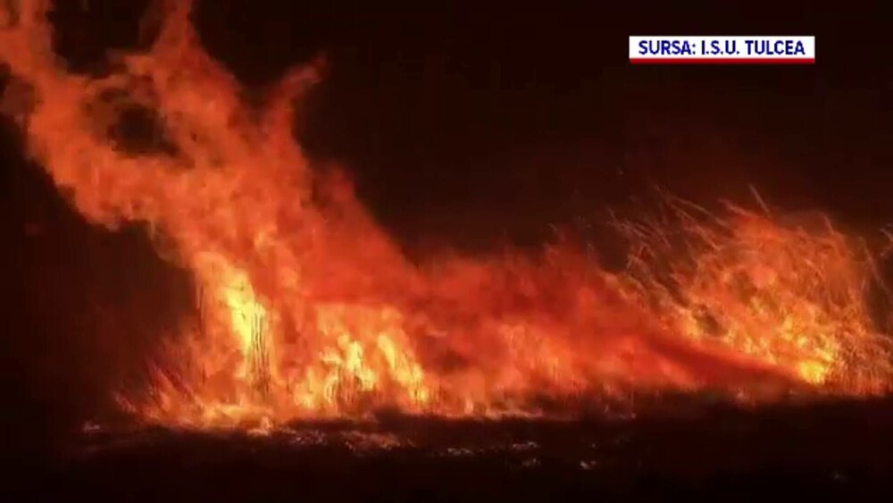 Imagini apocaliptice în Delta Dunării din cauza incendiilor provocate de oameni - Imaginea 9