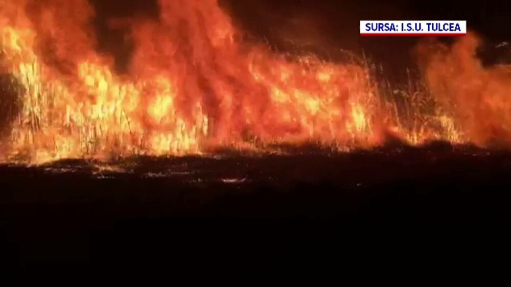 Imagini apocaliptice în Delta Dunării din cauza incendiilor provocate de oameni - Imaginea 11