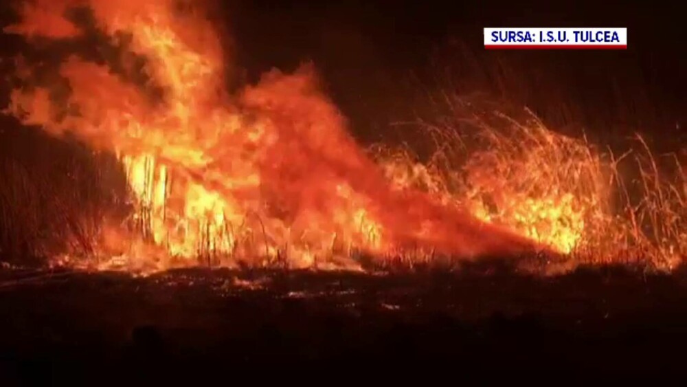 Imagini apocaliptice în Delta Dunării din cauza incendiilor provocate de oameni - Imaginea 12