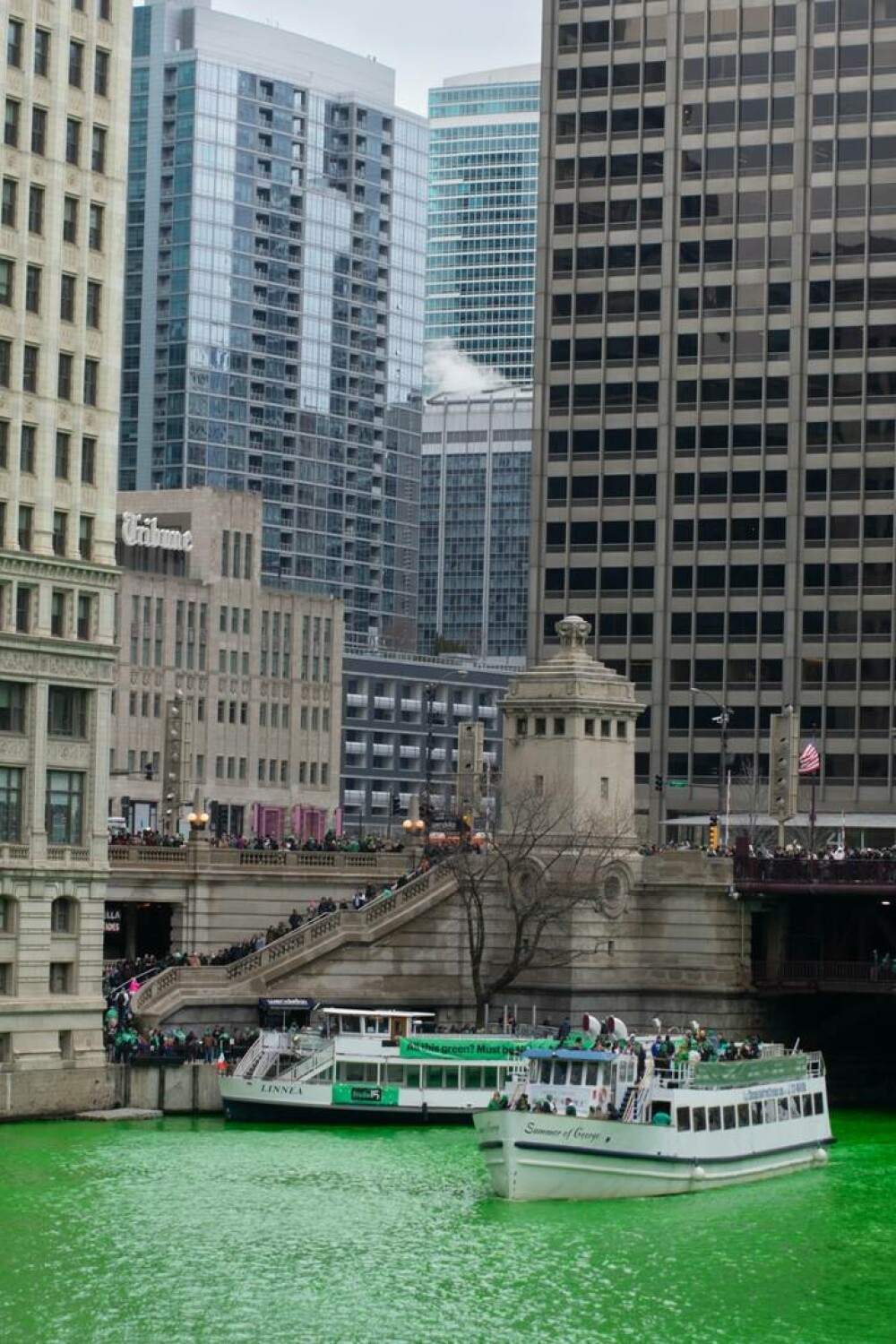 Râul Chicago, de un verde ieșit din comun. Cum a fost posibil. GALERIE FOTO - Imaginea 11