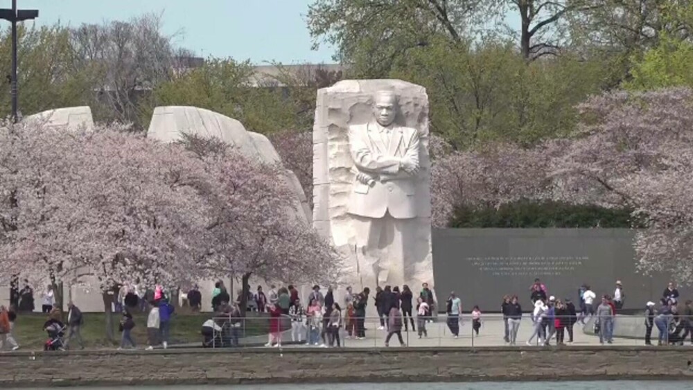 Au înflorit cireșii în Washington D.C. Spectacolul este unul diafan | GALERIE FOTO - Imaginea 8