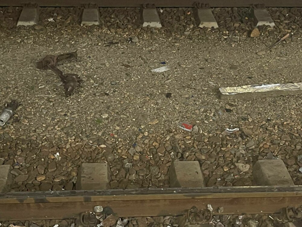 Accident feroviar în Gara Galați. O femeie conductor a murit, trei persoane sunt rănite după ce o locomotivă a lovit un tren - Imaginea 6