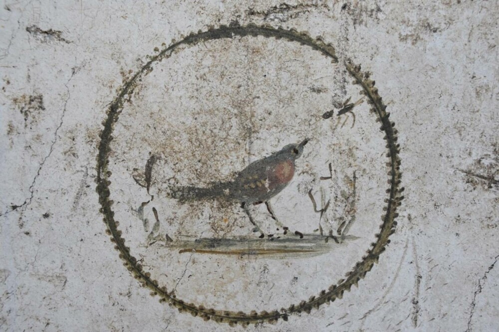 FOTO. Descoperiri ”de mare valoare”, în timpul săpăturilor în Pompei. Toate erau îngropate și conservate în cenușă vulcanică - Imaginea 6