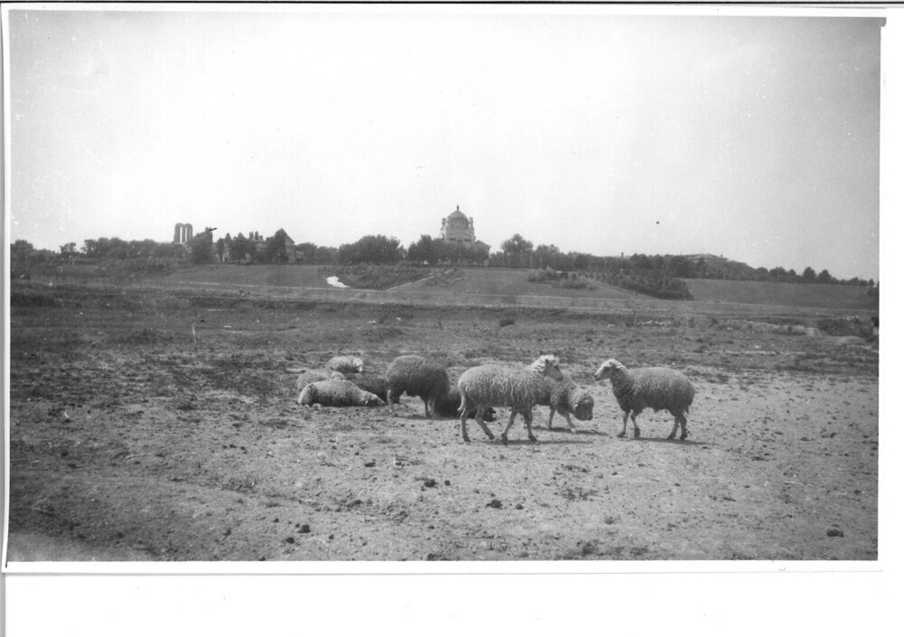 Imagini memorabile surprinse în București în urmă cu 50 de ani. Zona celebră care era 