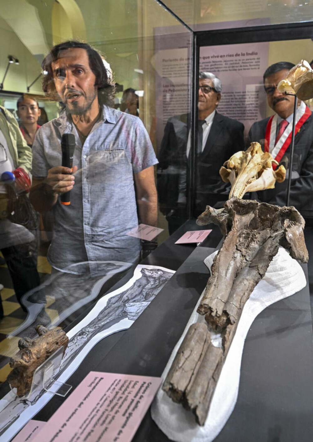 Oamenii de ştiinţă au descoperit craniul fosilizat al unui delfin uriaş în Amazon. FOTO & VIDEO - Imaginea 4