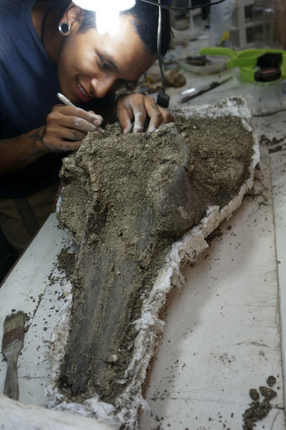 Oamenii de ştiinţă au descoperit craniul fosilizat al unui delfin uriaş în Amazon. FOTO & VIDEO - Imaginea 9