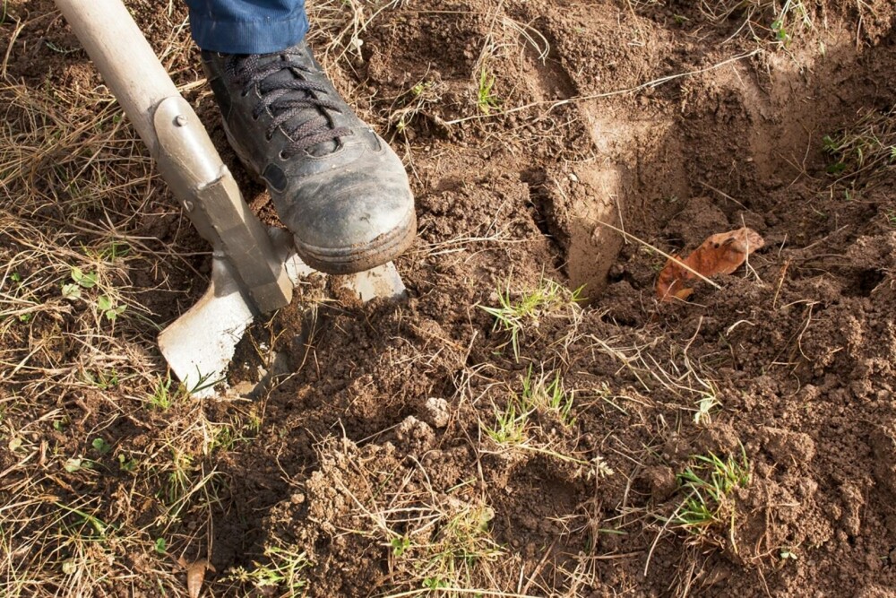 Un bărbat din Giurgiu a făcut o descoperire neașteptată în timp ce săpa fundaţia unei anexe. A sunat imediat la 112 | FOTO - Imaginea 1